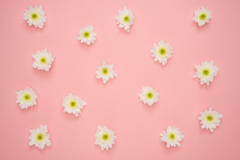 A Mentalidade da Mulher que Não Pede Licença pra Ser Feliz